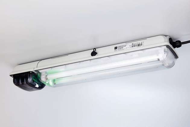 Geeignet für die Dali-2-vernetzte Sicherheitsbeleuchtung: die Exlux 6009 mit Leuchtstofflampen oder LED-Technik.