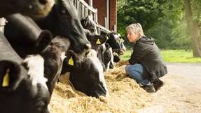 Tierwohl im Fokus: Mit seinen Lösungen will der Hersteller Sano moderne Tierfütterung ermöglichen.