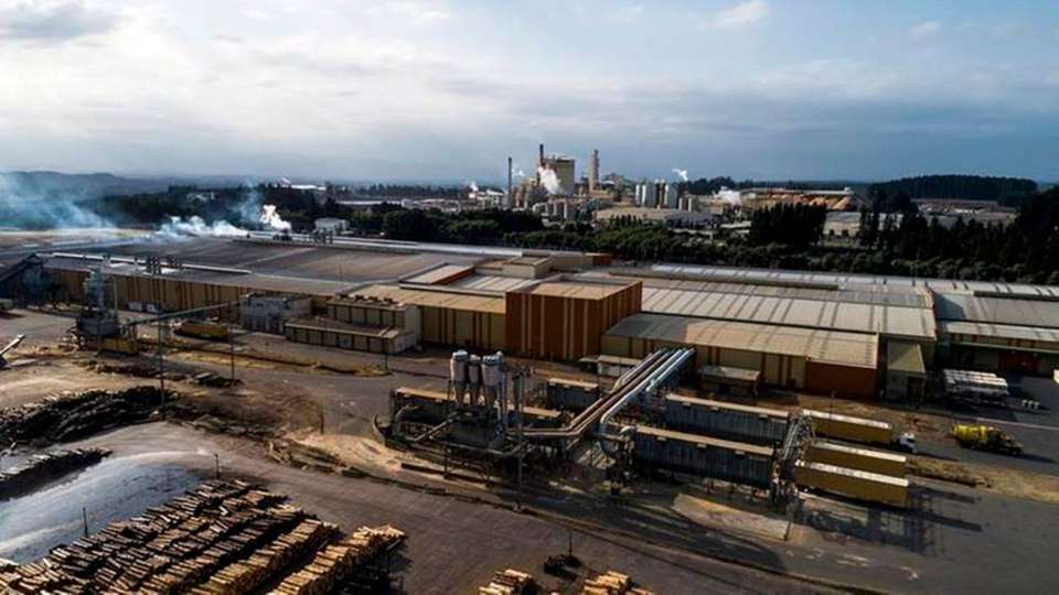 Die Holzverarbeitungsanlage in Chile: Hier wird Zellstoff aus Kiefern, Fichten, Birken und zu geringen Teilen aus Eukalyptus-Bäumen gewonnen.