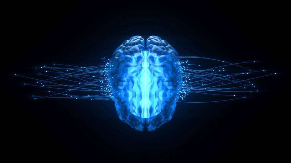 Die Lernmethode basiert auf der energieeffizienten Informationsweitergabe zwischen Neuronen im menschlichen Gehirn.