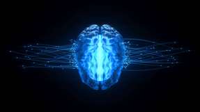 Die Lernmethode basiert auf der energieeffizienten Informationsweitergabe zwischen Neuronen im menschlichen Gehirn.