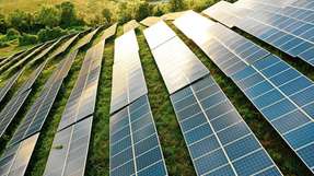 Laut dem BSW muss das Ausbautempo der Photovoltaik kurzfristig verdreifacht werden, um die Klimaziele zu erreichen.
