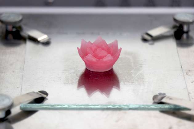 Um zu zeigen, dass sich feine Aerogel-Strukturen im 3D-Druck fertigen lassen, druckten die Forscher eine Lotusblüte aus Aerogel.