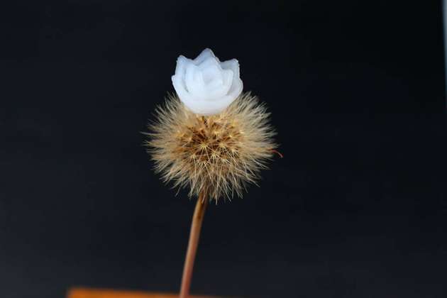 Kaum ein Feststoff ist leichter als Silica-Aerogel.