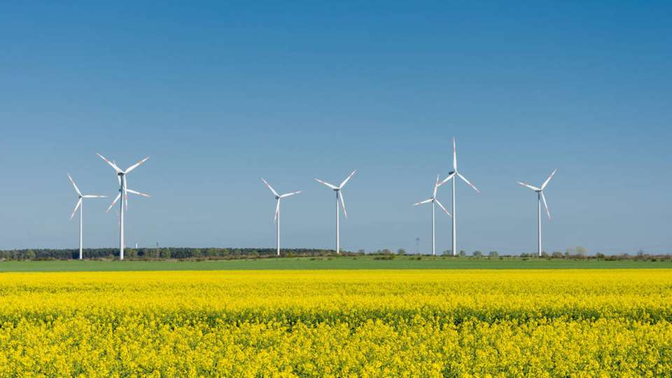 Wie viele Maßnahmen des „Aktionsprogramm zur Stärkung der Windenergie an Land“ bereits umgesetzt wurden.