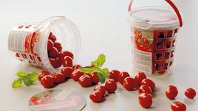 Snack-Tomaten werden häufig in den bekannten Kunststoffeimern verkauft. Zwei Unternehmen haben nun eine ressourcenschonendere Variante mit Gitterstruktur entwickelt.
