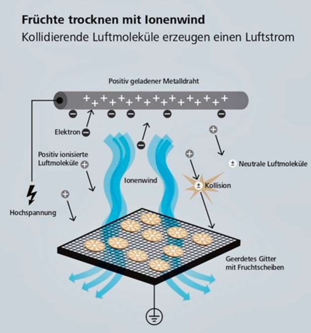 Der Ionenwind entsteht durch die Kollision zwischen ionisierten und neutralen Luftmolekülen. Er trocknet die Früchte auf dem Gitter schnell und gleichmäßig.