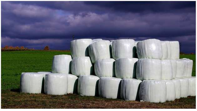 Silagefolien werden bislang auf konventionellem Weg, sprich auf Basis fossiler Brennstoffe hergestellt.