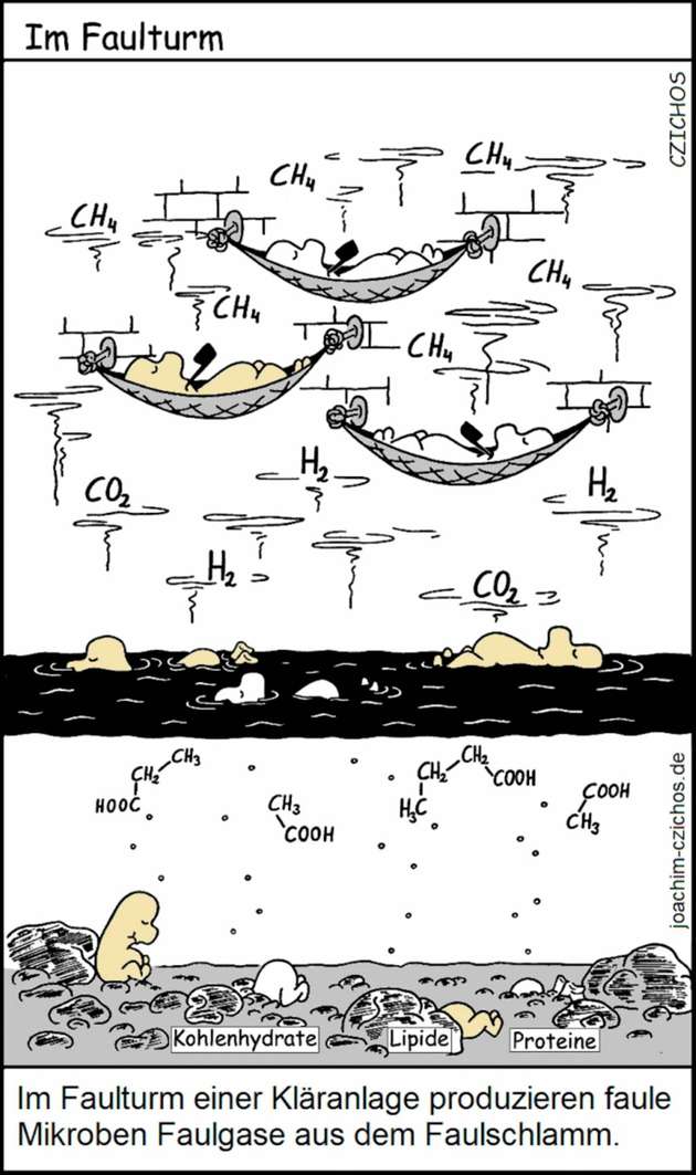 Methanothermobacter im Faulturm