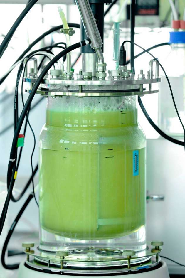 Bioreaktor zur Erzeugung von Methan durch Methanothermobacter im Labor