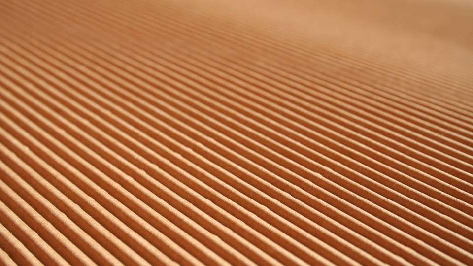 Das Liebensteiner Kartonagenwerk bezieht nun zu 100 Prozent Strom aus Wasserkraft.