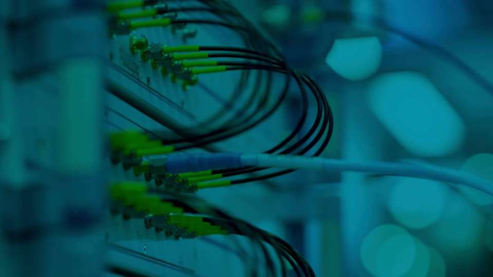 Entdecken Sie die Highlights der digitalen EMV 2021!