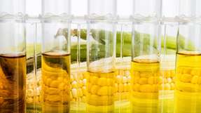 In Bioraffinerien hergestellte Produkte wie Biodiesel sollen ihre erdölbasierten Pendants langfristig ersetzen.
