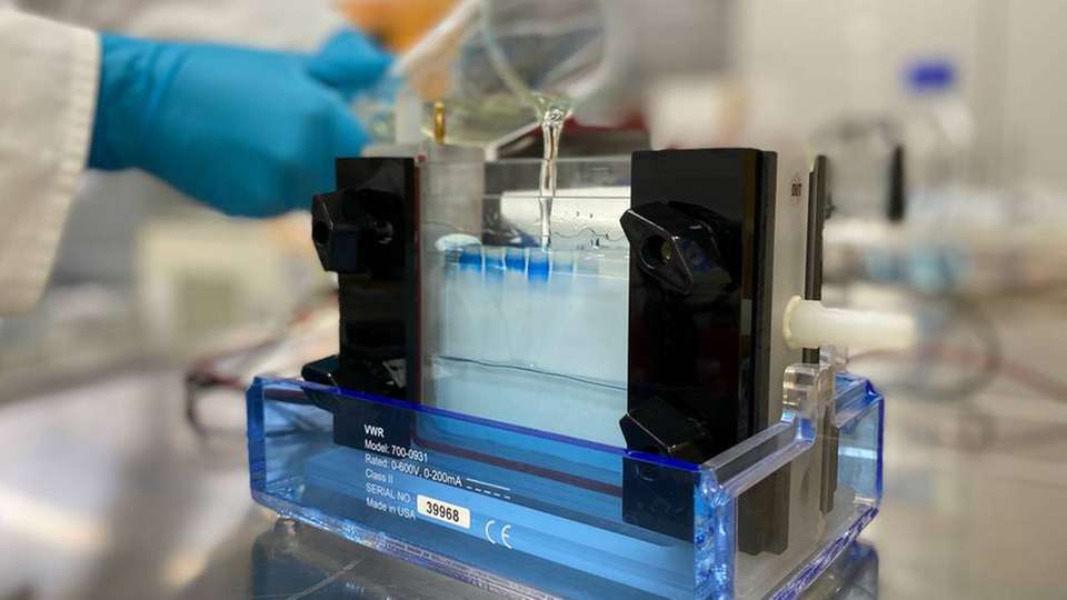 Das neuartige Reinigungssystem verbrennt Keime in einem elektrochemischen Prozess. Hier wird eine Gelelektrophorese zum Nachweis dieses Proteinabbaus vorgenommen.