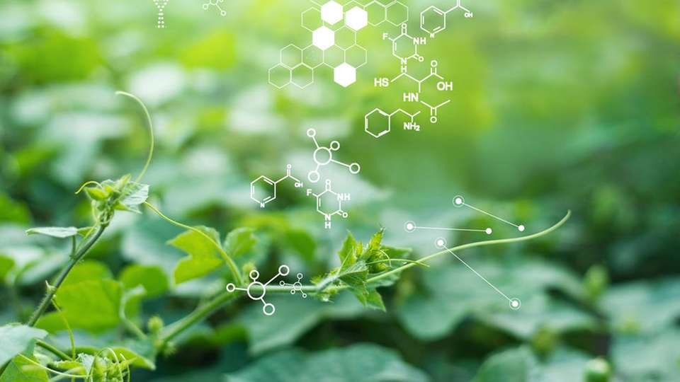 Yokogawa Bio Frontier entwickelt und vermarktet pflanzliche Materialien, die sich beispielsweise zur nachhaltigen Produktion von Chemikalien nutzen lassen.