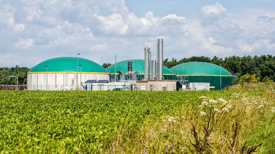 Seit der EEG-Novelle 2012 stagniert vor allem der Zubau von Biogas-Neuanlagen.
