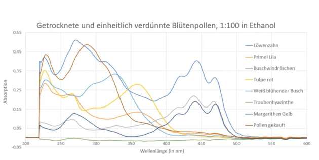 Anna und Andreas fanden verschiedene Absorptionsspektren von Blütenpollen heraus.