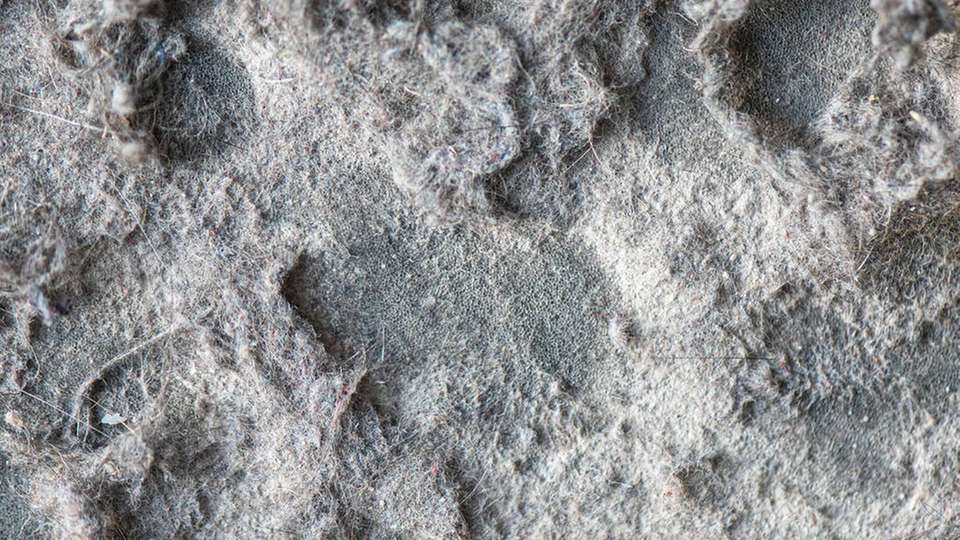 Wenn viel Staub und dementsprechend viele Staubbeutelwechsel anfallen, kann ein innovatives Entsorgungssystem helfen.