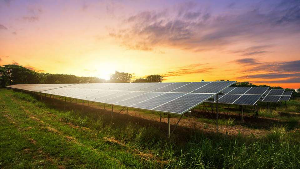 In der weltweiten Solarbranche herrscht Umbruchstimmung: Die Zeichen stehen auf Wachstum.