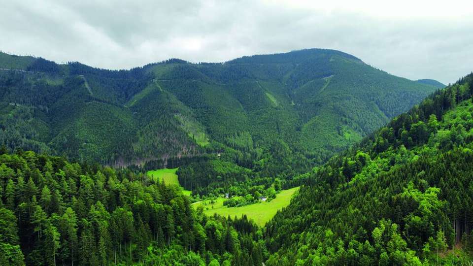 Inmitten von Bergen und Waldgebiet liegt der Hof des Landwirts Jürgen Kienbink, der sich komplett unabhängig vom öffentlichen Stromnetz versorgt.