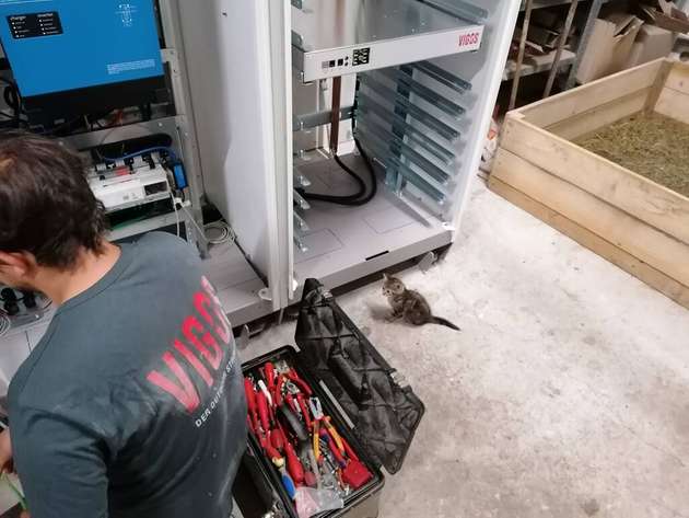 ... wobei auch so mancher Hofbewohner neugierig zuschaut.