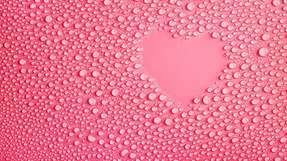 Die Suche nach einem ganzheitlichen Einsatz des Hygienic Design in der Prozessindustrie.  