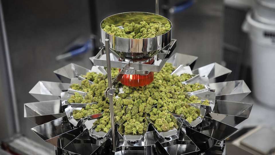 Mit zwei neuen Waagen lässt sich der Produktverlust beim Abfüllen von Cannabisblüten nahezu eliminieren.