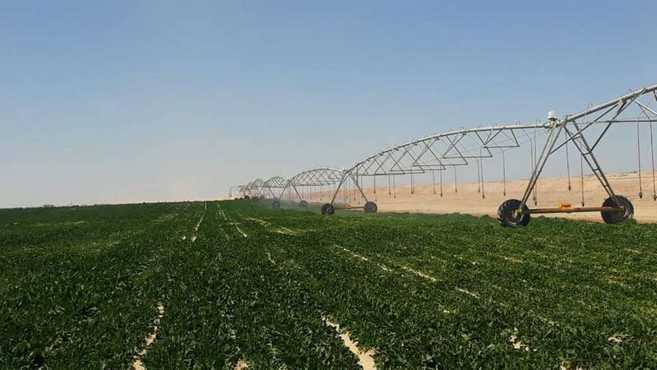 Für das Projekt werden rund 76.000 ha Wüste landwirtschaftlich nutzbar gemacht.