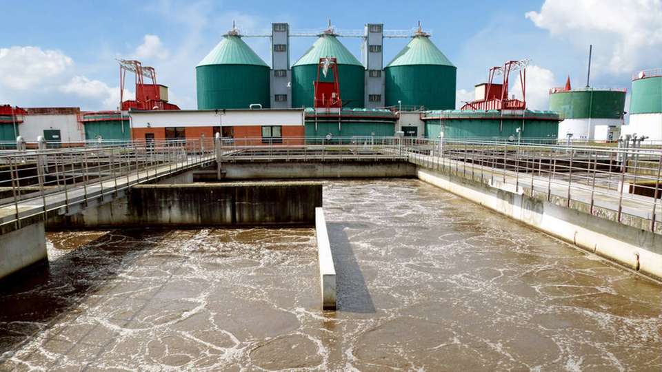 Mittels eines neuen Verfahrens lässt sich die Virenlast in Abwasser bestimmen – innerhalb weniger Stunden und direkt in der Kläranlage.