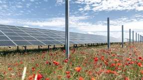 Beginn der Modulmontage im größten Solarpark Deutschlands in Weesow-Willmersdorf bei Berlin: Die ersten der 187,5MW Doppelglas-Module wurden im Juni 2020 installiert.
