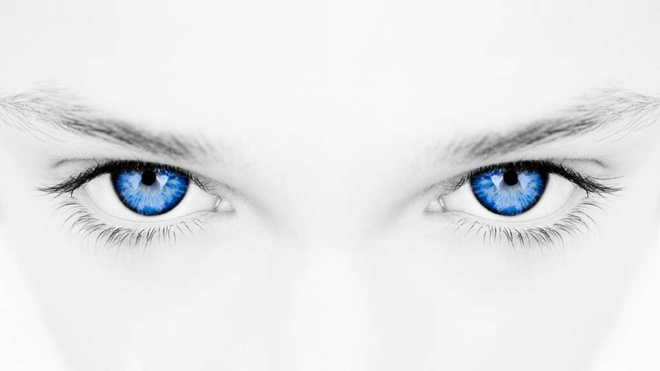 Der größte Teil von Prozessen kann durch einige wenige Modelle sehr vielseitiger Sensoren abgedeckt werden, die den Robotern als „Augen“ dienen.