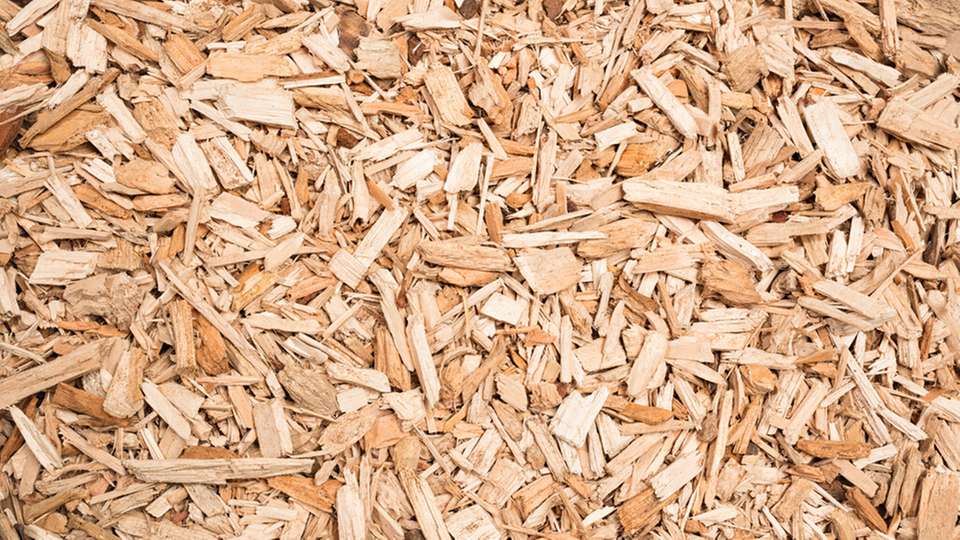 Die Ethanolausbeute des neuen Verfahrens ist deutlich höher als die von fermentationsbasierten Prozessen auf Basis von Stroh oder Holz.