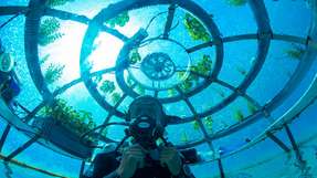 Nemo's Garden ist ein Startup, das sich auf den nachhaltigen Unterwasseranbau von Nutzpflanzen spezialisiert hat.