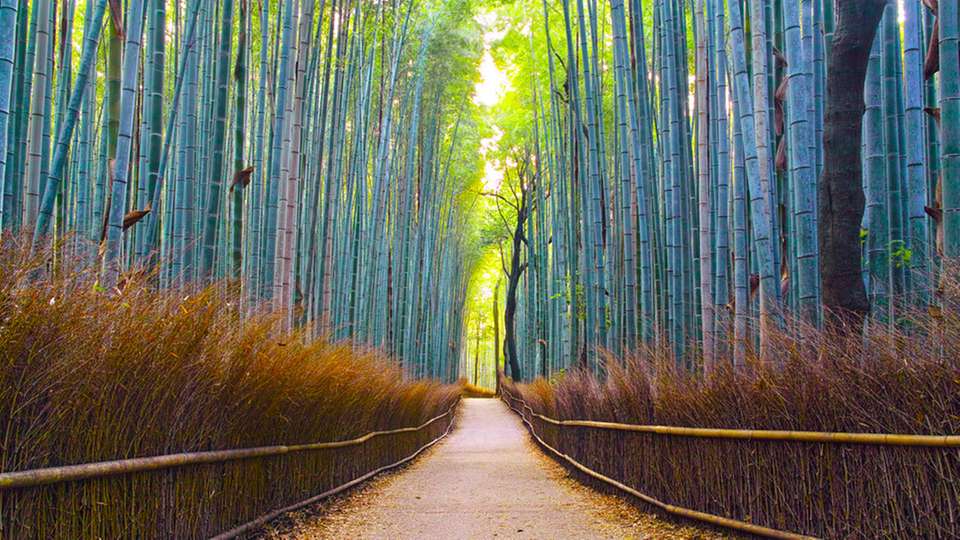 Vom 17. bis 21. April präsentieren rund 2.500 Unternehmen auf dem Messegelände in Hannover ihre Technologien für die Industrien und Energiesysteme von morgen. 