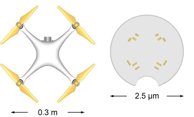 Größenvergleich zwischen Quadrocopter und Mikrodrohne