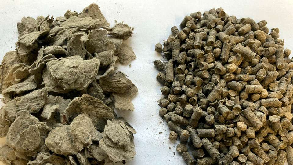 In der Verwertung biogener Brennstoffe wie diesem auf Basis von Klärschlamm-Faserstoffen stecken noch einige Potenziale.