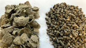 In der Verwertung biogener Brennstoffe wie diesem auf Basis von Klärschlamm-Faserstoffen stecken noch einige Potenziale.