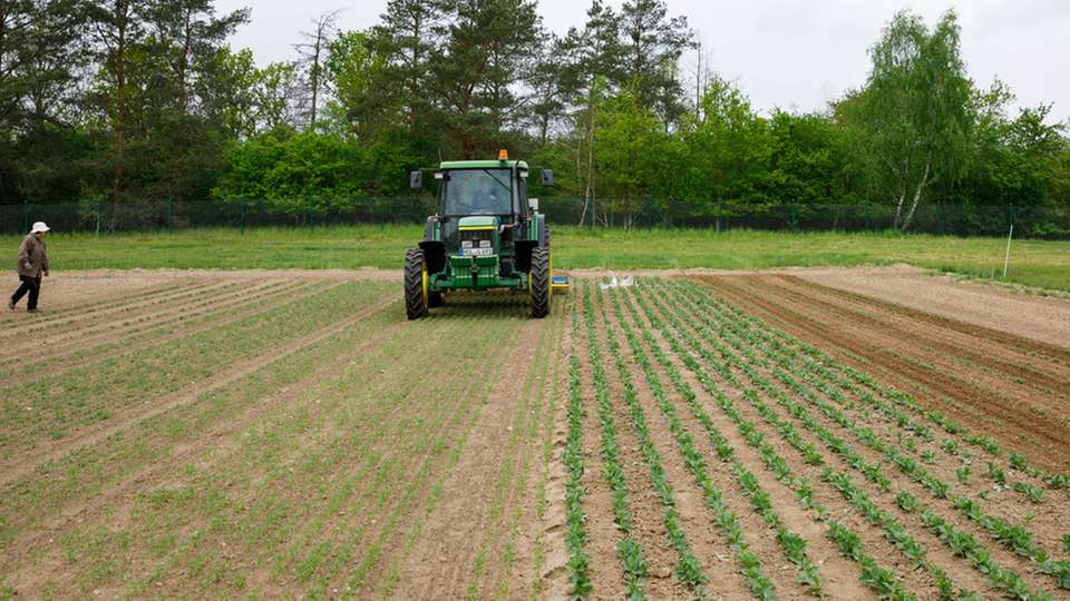 Wie funktioniert Carbon Farming, trägt es zur Klimaneutralität in der Landwirtschaft bei, und welche Rolle spielen dabei Humuszertifikate? Über diese und andere Fragen gibt Dr. Carsten Paul in einem Opinion Paper Auskunft.