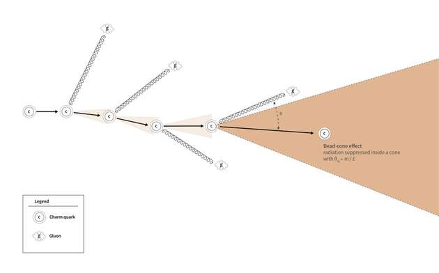 Wenn der Partonenschauer fortschreitet, werden Gluonen in kleineren Winkeln emittiert und die Energie des Quarks nimmt ab, was zu größeren toten Kegeln mit unterdrückter Gluonenemission führt. 