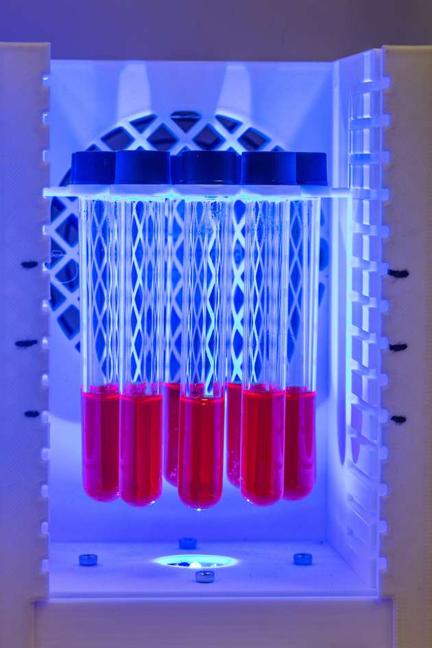 AZULA-Photoreaktor mit Photokatalysatoren (rote Lösung) die mit blauem LED-Licht kontrolliert bestrahlt werden.