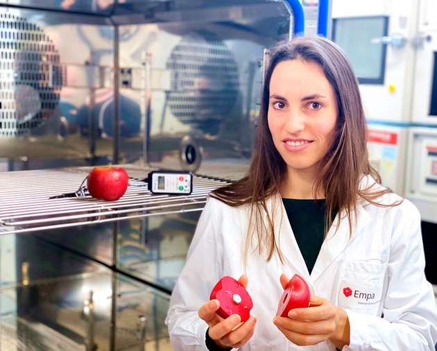 Auch biophysikalische Zwillinge werden im Kampf gegen Food Waste eingesetzt. Hier zu sehen: Empa-Forscherin Seraina Schudel mit dem Polymer-Modell eines Apfels.