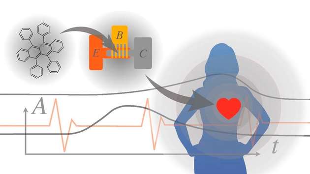 Organische Bipolartransistoren können auf flexiblen elektronischen Elementen auch anspruchsvolle Auf-gaben der Datenverarbeitung und -Übertragung übernehmen, wie zum Beispiel hier für Elektrokardiogramm (EKG)-Daten.