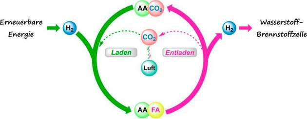 Die Wasserstoffbatterie basiert auf der kohlenstoffneutralen chemischen Speicherung und Freisetzung von H2: CO2, Aminosäure (AA) und H2 werden zu Formiat, dem Salz der Ameisensäure (FA), umgewandelt. Das CO2 verbleibt im Kreislauf (fette Pfeile), was Vorteile gegenüber dem CO2-Recycling (gestrichelte Pfeile) hat.