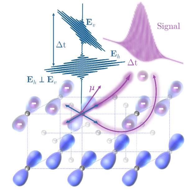 Die Effizienz der Lichtabsorption in Materie wird auf der mikroskopischen Skala durch sogenannte Übergangsdipolmomente bestimmt.