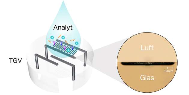 Möglicher Biosensor mit integrierten metallischen Strukturen in Glas für die Detektion von Enzymreaktionen oder Antigen-Antikörper-Interaktionen.