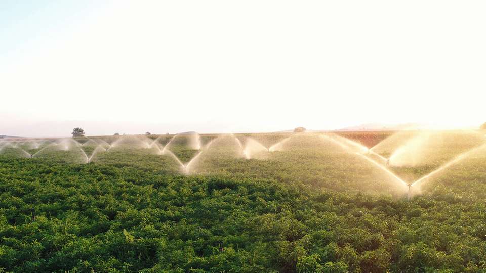 Aufbereitetes Abwasser in der Landwirtschaft stellt die Lebensmittelsicherheit vor eine neue Herausforderung.