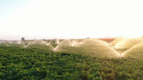 Aufbereitetes Abwasser in der Landwirtschaft stellt die Lebensmittelsicherheit vor eine neue Herausforderung.