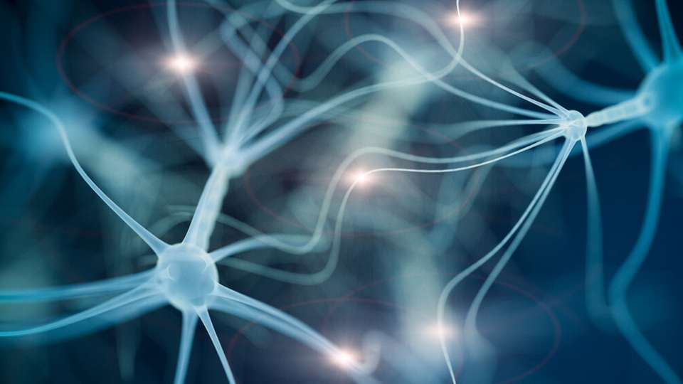 5G-Netze können den Weg zu digitalen Nervensystemen deutlich vereinfachen.