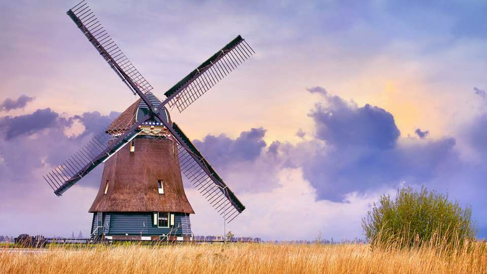 Inspiriert wurden die entwickelten Rotoren unter anderem von den niederländischen Windmühlen.