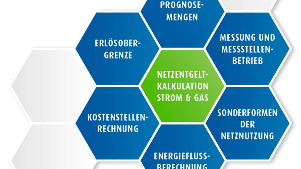 Einbettung der Netzentgeltkalkulation in den Regulierungsprozess